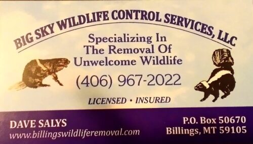 Animal Removal Billings Wildlife Control